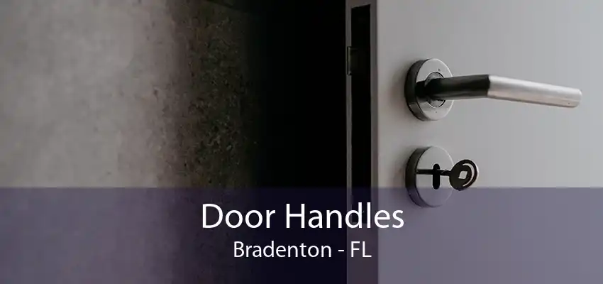 Door Handles Bradenton - FL