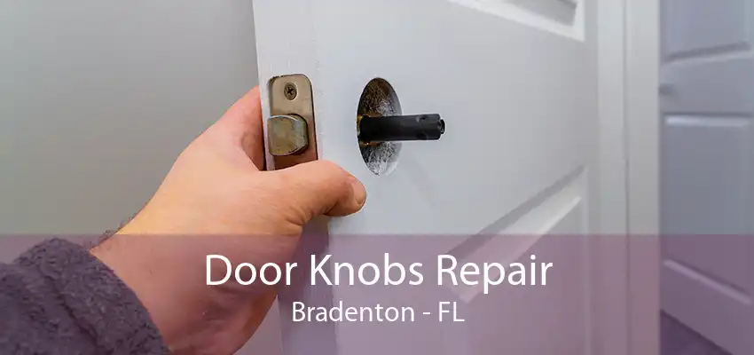 Door Knobs Repair Bradenton - FL