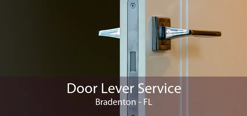 Door Lever Service Bradenton - FL
